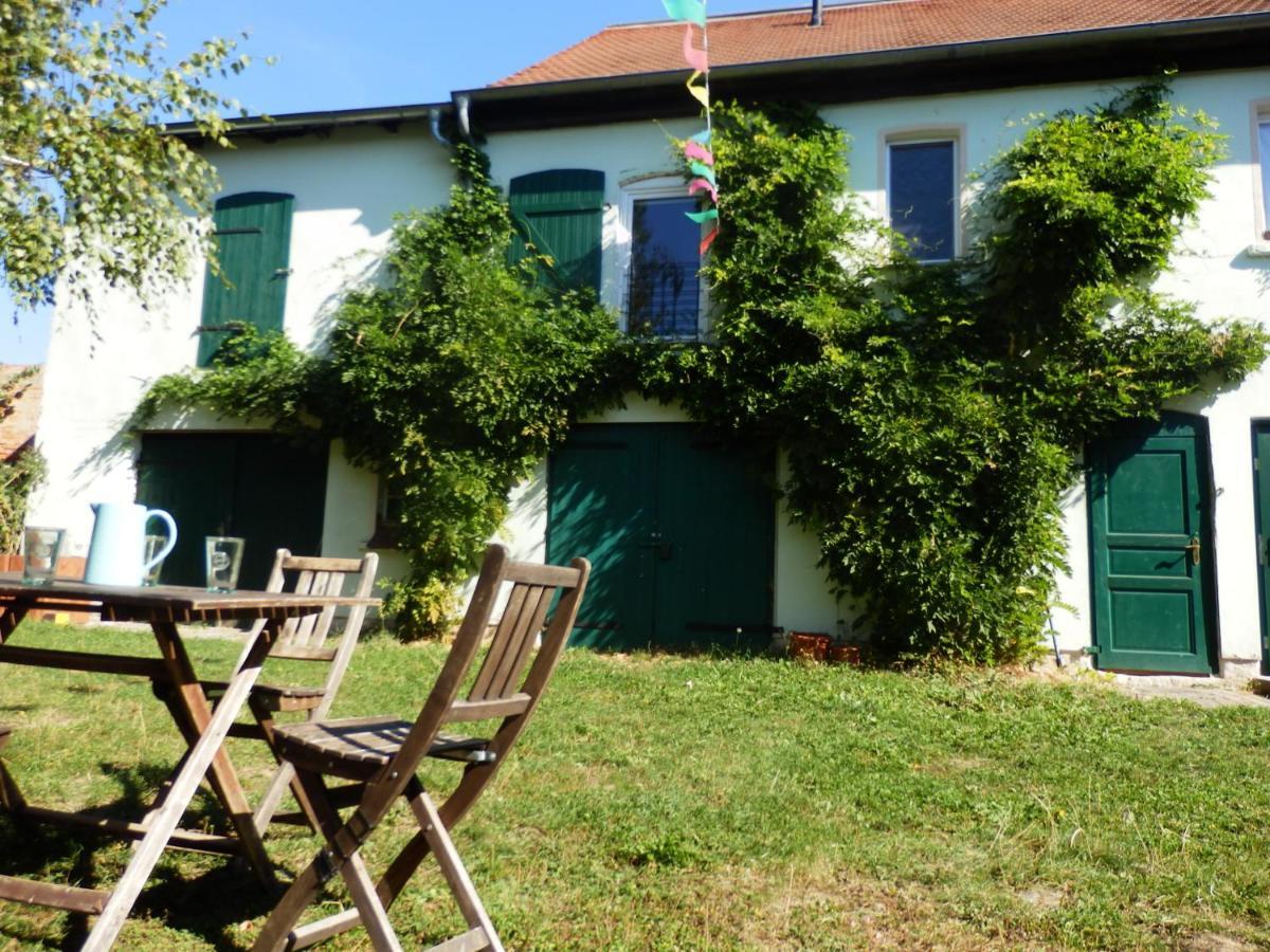 Ferienhof Gruene Kuh Elsteraue ภายนอก รูปภาพ